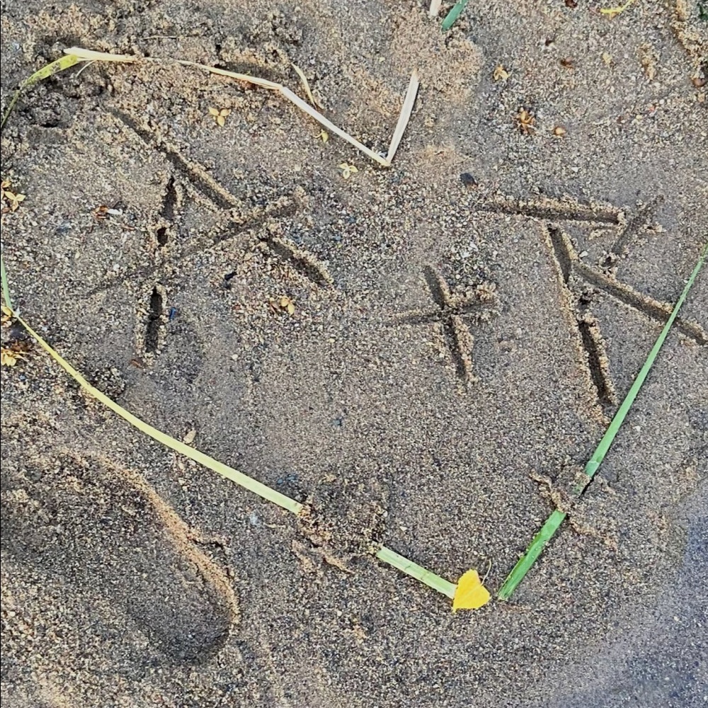 Meet your Posher, Ashanti